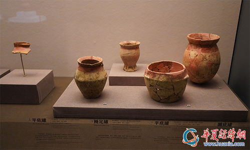 走进 浙江上山文化考古特展 看万年稻米 最早彩陶